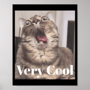 Gumbus Zeer Cool Grappige Kat Meme Dierenliefhebbe Poster