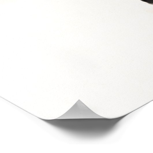 Gunboat and Monitor Poster (Hoek)