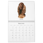 Gundog Briet Kalender (Mar 2026)