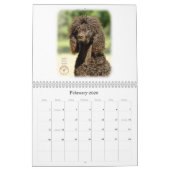 Gundog Briet Kalender (Feb 2026)