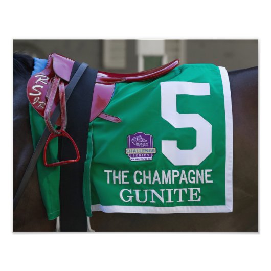 Gunite Saddlecloth Foto Foto Afdruk (Voorkant)