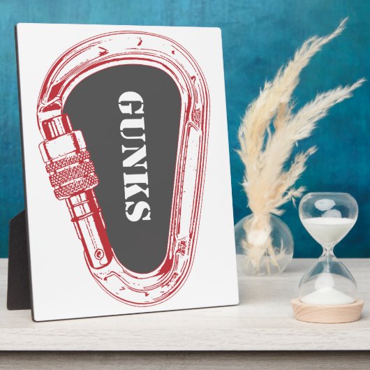 Gunks climate carabiner fotoplaat (Zijkant)