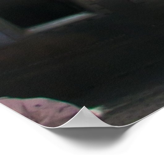 Gunner Shot B-17G SuperFort Poster (Hoek)