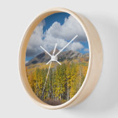 Gunnison National Forest, Colorado (Hoek)