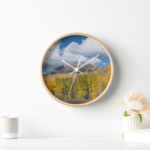 Gunnison National Forest, Colorado