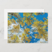 Gunnison National Forest Colorado Briefkaart (Voorkant / Achterkant)