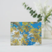 Gunnison National Forest Colorado Briefkaart (Staand voorkant)