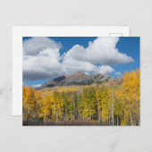 Gunnison National Forest, Colorado Briefkaart (Voorkant / Achterkant)