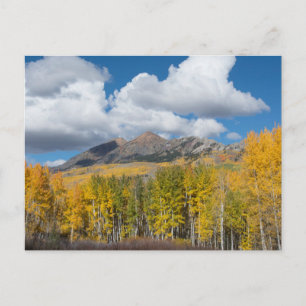 Gunnison National Forest, Colorado Briefkaart