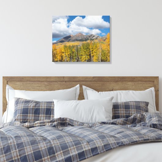 Gunnison National Forest, Colorado Canvas Afdruk (Insitu (Slaapkamer))