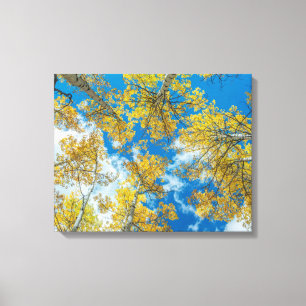 Gunnison National Forest Colorado Canvas Afdruk