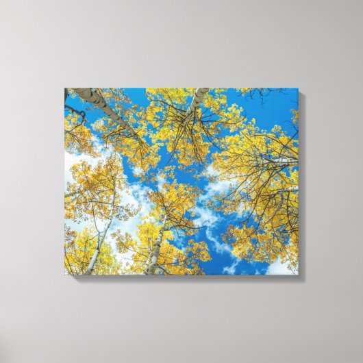 Gunnison National Forest Colorado Canvas Afdruk (Voorkant)