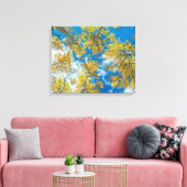 Gunnison National Forest Colorado Canvas Afdruk (Insitu (Woonkamer))
