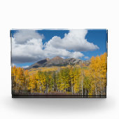 Gunnison National Forest, Colorado Fotoblokken (Voorkant)