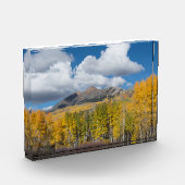 Gunnison National Forest, Colorado Fotoblokken (Links)