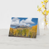 Gunnison National Forest, Colorado Kaart (Gele Bloem)