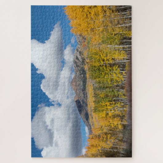 Gunnison National Forest, Colorado Legpuzzel (Verticaal)