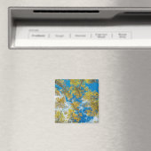 Gunnison National Forest Colorado Magneet (Insitu (Vaatwasser))