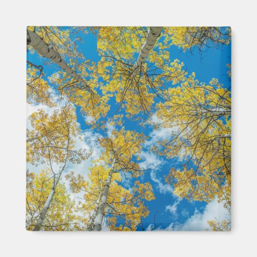 Gunnison National Forest Colorado Magneet (Voorkant)