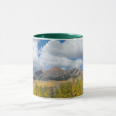 Gunnison National Forest, Colorado Mok (Midden)