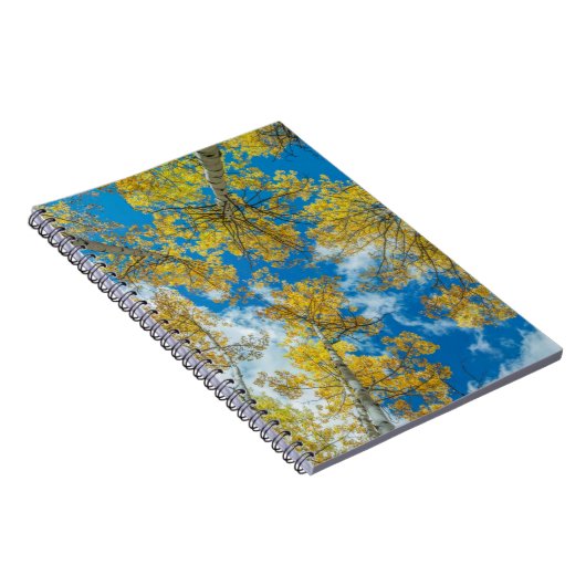 Gunnison National Forest Colorado Notitieboek (Rechterzijde)