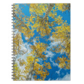 Gunnison National Forest Colorado Notitieboek (Voorkant)