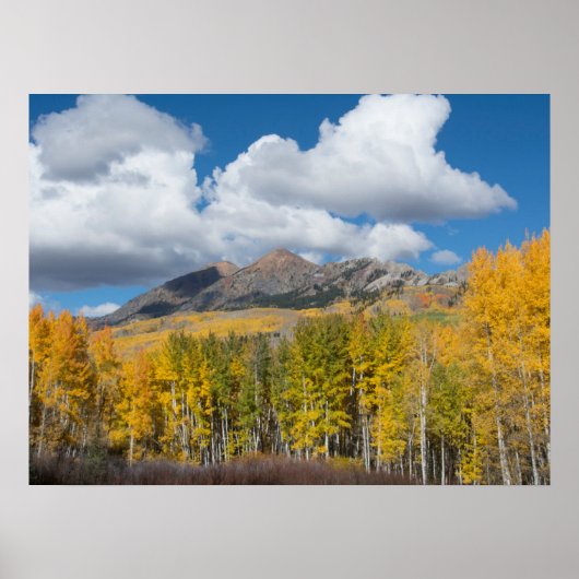 Gunnison National Forest, Colorado Poster (Voorkant)