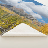 Gunnison National Forest, Colorado Sherpa Deken (3/4)