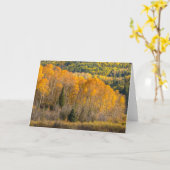 Gunnison National Forest Kaart (Gele Bloem)