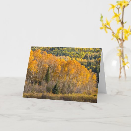 Gunnison National Forest Kaart (Gele Bloem)