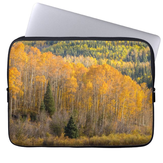 Gunnison National Forest Laptop Sleeve (Voorkant)