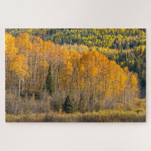 Gunnison National Forest Legpuzzel (Horizontaal)