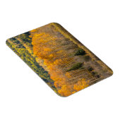 Gunnison National Forest Magneet (Rechterzijde)