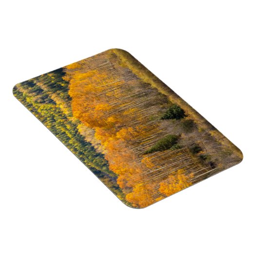 Gunnison National Forest Magneet (Rechterzijde)