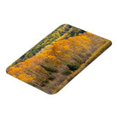 Gunnison National Forest Magneet (Linkerzijde)