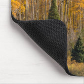 Gunnison National Forest Muismat (Hoek)