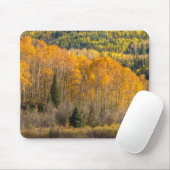 Gunnison National Forest Muismat (Met muis)