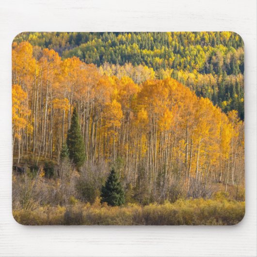 Gunnison National Forest Muismat (Voorkant)