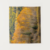 Gunnison National Forest Wandkleed (Voorkant)