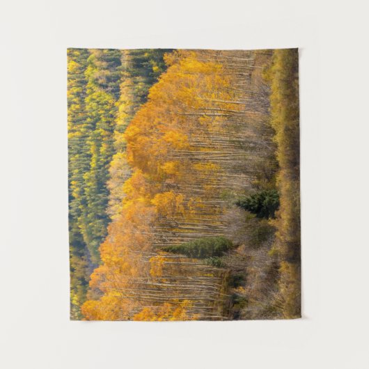 Gunnison National Forest Wandkleed (Voorkant)