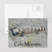 "Gunny" de Gila Monster in het Congres, Arizona 6/ Briefkaart (Voorkant / Achterkant)