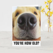 GUNSTIGE DOG LOVER BIRTHDAY CARDS OVER DE HILL KAART (Gele Bloem)