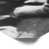 Gunther Gebel-Williams 1969 Poster (Hoek)