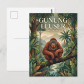 Gunung Leuser Indonesië Briefkaart (Voorkant / Achterkant)