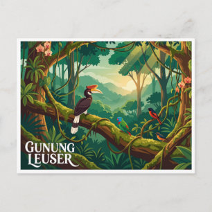 Gunung Leuser Nationaal Park Bukit Lawang Indonesi Briefkaart