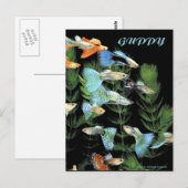 Guppies Briefkaart (Voorkant / Achterkant)