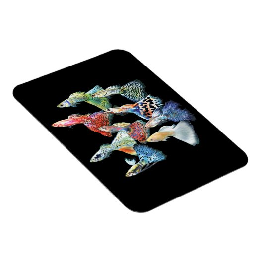 Guppies Magneet (Rechterzijde)