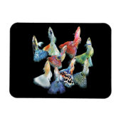 Guppies Magneet (Horizontaal)