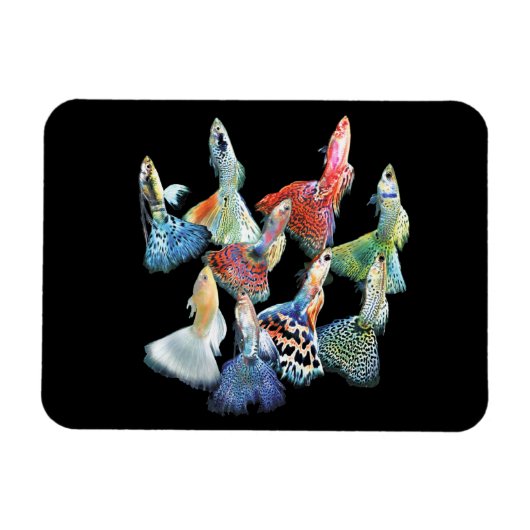 Guppies Magneet (Horizontaal)