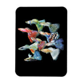 Guppies Magneet (Verticaal)